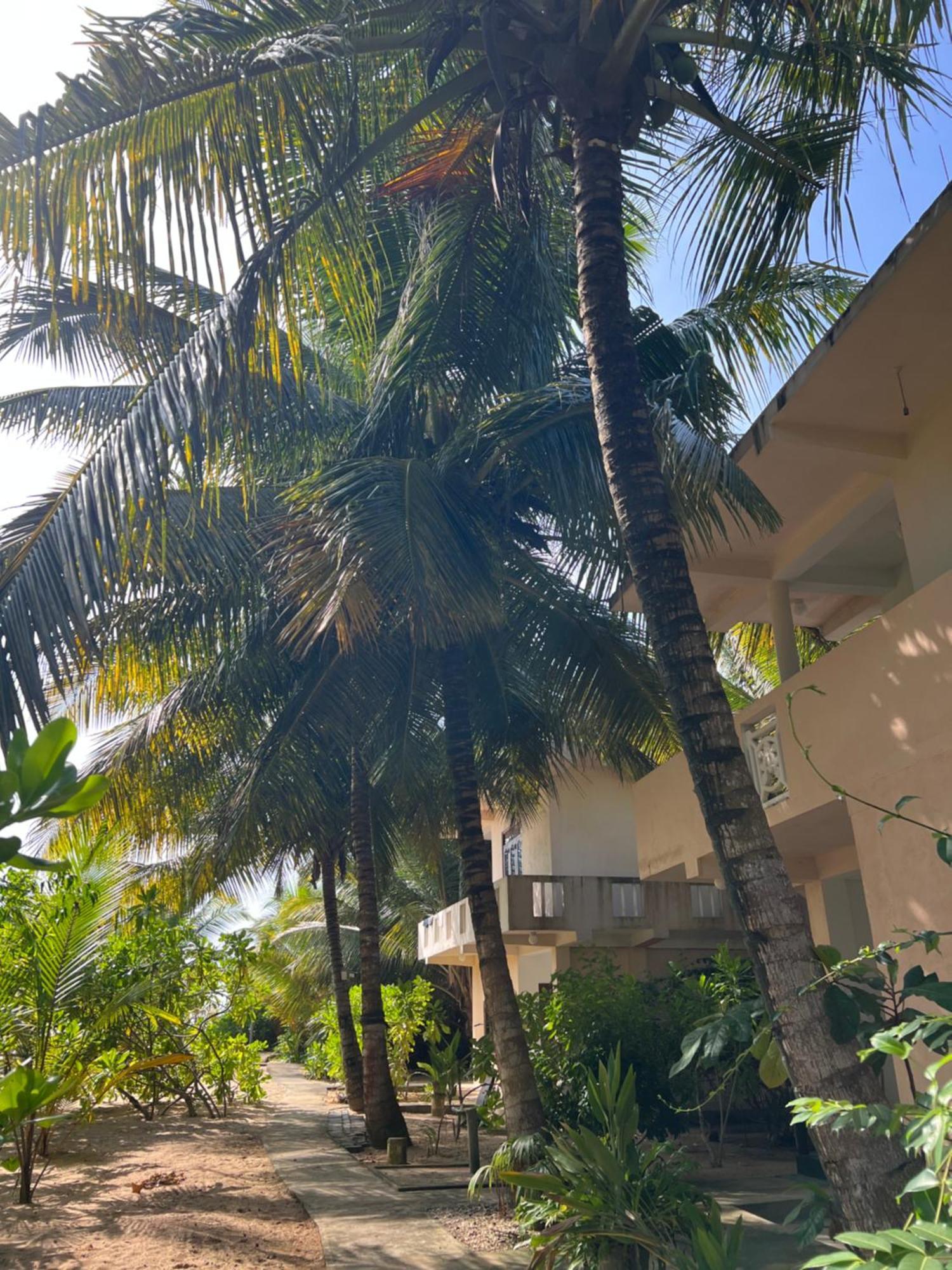 Villasiri And Leon Beach Paradise 탕갈레 외부 사진