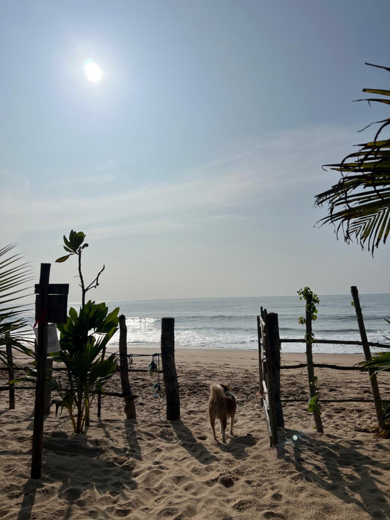 Villasiri And Leon Beach Paradise 탕갈레 외부 사진